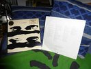 U2 - BOY - USA / US - Promo - Vinyl LP - ILPS 9646 - with sticker - RAR