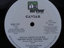 CAVIAR Never Stop Loving You SURVIVOR 12