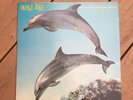 Orange Juice - You Can't Hide Your Love Forever -  Vinyl LP - 80's Alt-Indie-Pop