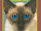 blink-182 - Cheshire Cat - Debut Studio Album - 12