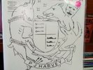 Hope Six Demolition Project [LP] by PJ Harvey (Vinyl, Apr-2016, Vagrant)