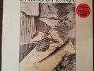 Camouflage: The Great Commandment 12