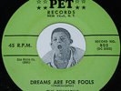 Doo Wop 45 THE REVALONS Dreams Are For Fools/ This Is The Moment Pet 802