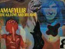 BREAD LOVE & DREAMS - Amaryllis (reissue) - Vinyl (limited LP + postcards)