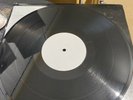 Chris The Glove Taylor & Ice T Reckless On Taxidermi Records. Mint
