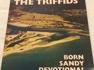 THE TRIFFIDS • BORN SANDY DEVOTIONAL • UK 1986 Vinyl • HOT RECORDS