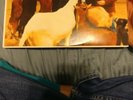The Beach Boys LP Pet Sounds DT2458 VG ++
