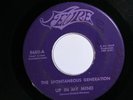 The Spontaneous Generation FEVRE 8680 VG- ROCK N' ROLL GARAGE 45