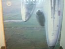 GODSPEED YOU BLACK EMPEROR  Yanqui U.X.O. LP swans
