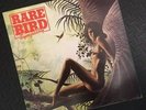 Rare Bird - Sympathy, 1976 Charisma records, CS4 EX/EX