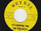 teen frat rock 45 THE TEAM-BEATS - It's Liverpool Time (Mutual) rare  vg+ mp3