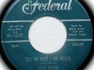 JAMES BROWN ... Try Me/ /Tell Me What I Did Wrong .. 45 on FEDERAL 12337 .. NICE