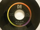 BETTY EVERETT: Too Hot To Hold / I Don't Hurt Anymore VJ 699 45 Soul