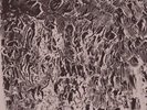 BITCHIN BAJAS/NATURAL INFORMATION SOCIETY AUTOMAGINARY NEW VINYL