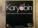 Island ILPS9079 - SPONTANEOUS MUSIC ENSEMBLE - Karyobin - 1968 Orig.UK LP - NM-