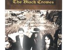 The Black Crowes - The Southern Harmony And Musical Companion [VINYL] Used