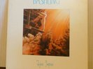 Alain Bashung. Disque vinyle 33 tours FIGURE IMPOSÉE
