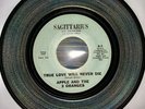 Apple And The Three Oranges - True Love Will Never Die Vg+ Rare Sweet Soul 45