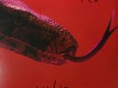 Alice Cooper - Killer LP - Red/Black Colored Vinyl Album - Record Store Crawl
