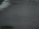 Prince - Black Album - Vinyl LP ,1987,UK:WX 147 925677-1 ,guter Zustand,top