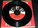 THE STEREOS The Big Knock / Sweet Water NM Cub K9103 (1962)