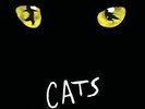Cats - Andrew Lloyd Webber/Original Cast... (NEW 2 VINYL LP)