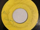 HIPPY BOYS - NEIL ARMSTRONG - BLANK ( SKINHEAD INST 7 )