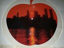 FRANK SINATRA New York New York Reprise K14502P Rare UNCUT SHAPE pic disc 1986