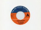 MONITORS CRYING IN THE NIGHT / SHARE A LITTLE LOVE WITH ME  DETROIT SOUND Re-Iss