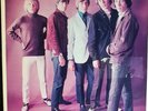 Rolling Stones:Collector's only Lp Beat mit 