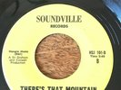 northern soul - the trips - there`s that mountain / love cant be m ( soundville)