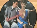 THE SCORPIONS VINYL - Lovedrive Picture Disc as Shown