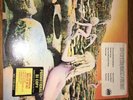 led zeppelin 1973 House Of The Holy Promo SD 7255