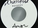 Reggae 45 - Arzu - Amor Gregory Isaacs - Report Dub - Ximeno Record Club VG+ MP3