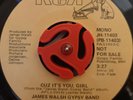 James Walsh Gypsy Band - Cuz It's You Girl RCA PROMO NORTHERN MODERN SOUL