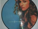 RARE LTD. VINYL Picture LP Madonna - Ray of Light Lady Gaga Cher