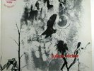 Julius Victor  AJP 5160 Promo  From the Nest  Late 60's East Coast Psych/Prog
