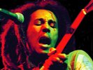 Bob Marley **Soul Rebel *BRAND NEW GREEN COLORED RECORD LP VINYL