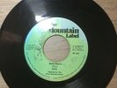 RYO - Black Beauty, original 7” vinyl roots reggae 1978 The Mountain Label