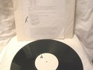 Schallplatte Despair Decay of humanity Whitelabel Testpressing RARE 1990 Metal