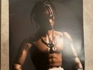 Rodeo [LP] by Travis Scott (Vinyl, Nov-2015, 2 Discs, Epic)