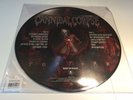 Cannibal Corpse - Torture - Europe Back on Black 2014 Pic Disc Reissue - EX Con