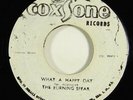 Burning Spear 
