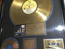 The Luke LP Feat The 2 Live Crew Banned In The U.S.A. Framed Gold Record
