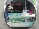 Goo Goo Dolls - Dizzy Up The Girls LP NEW PIC DISC