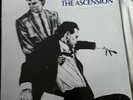 The Ascension by Glenn Branca (Vinyl, Nov-2014, Superior Viaduct) NEW