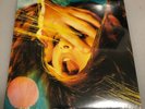 The Flaming Lips, Embryonic, LP Record, 2009, Warner Bros. Sealed