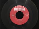 FATS DOMINO BLUEBERRY HILL / HONEY CHILE 45 RPM IMPERIAL RECORDS VG RED LBL