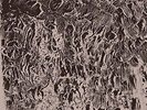 Natural Information Society & - Automaginary - LP Vinyl - New