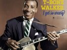 T-Bone Walker - I Get So Weary LP - 180 Gram Vinyl Album SEALED Blues Record